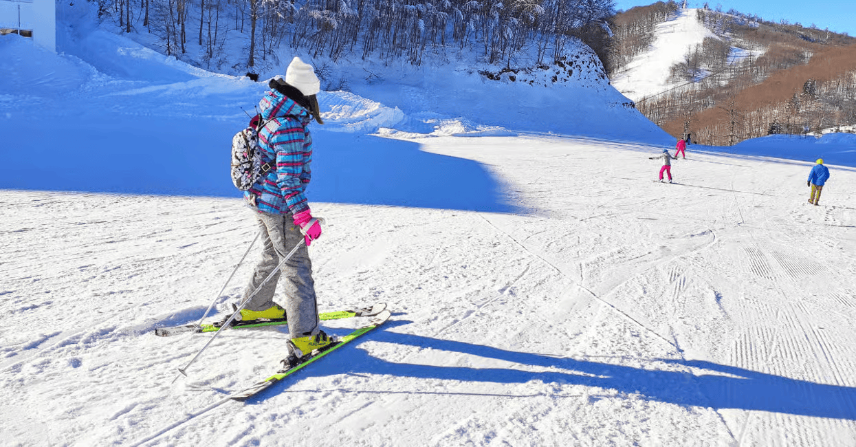 İstanbul: Öğle Yemekli ve Teleferik Seçenekli Bursa & Uludağ Turu İstanbul: Öğle Yemekli ve Teleferik Seçenekli Bursa & Uludağ Turu