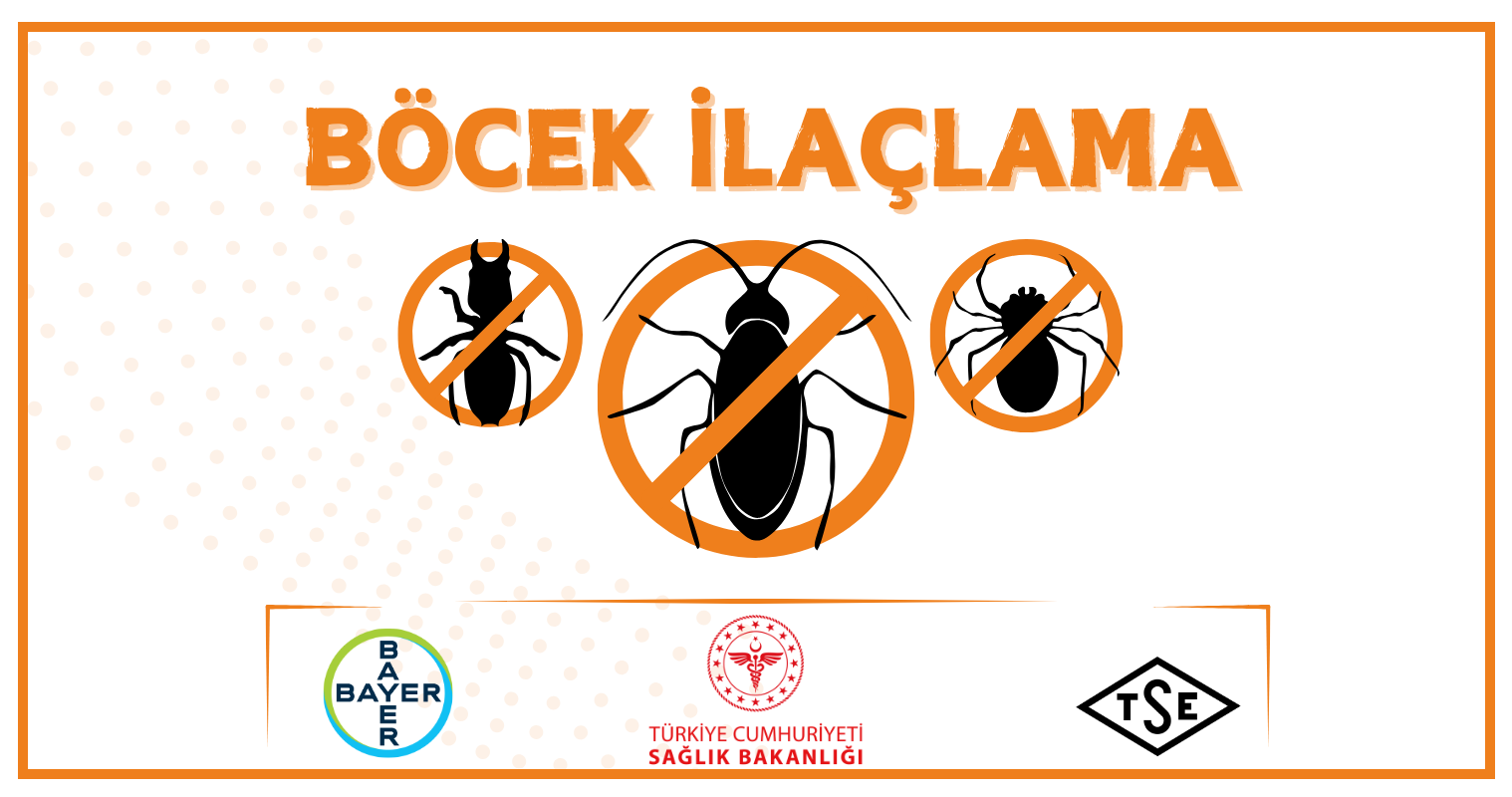 İstanbul’da Böcek İlaçlama Hizmeti